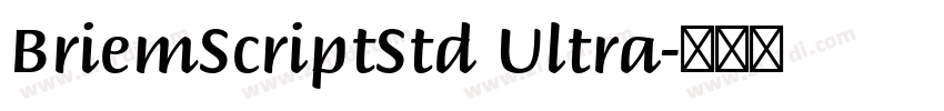 BriemScriptStd Ultra字体转换